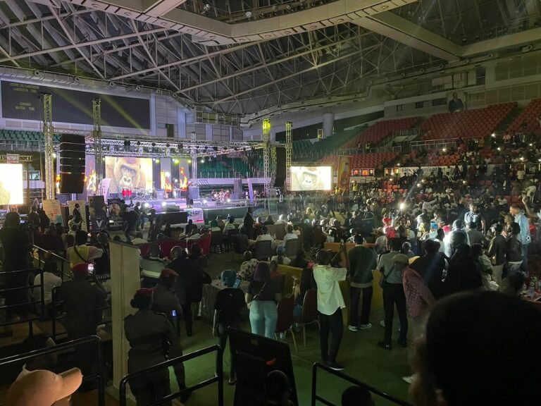Concert de Petit Pays : une célébration manquée ?