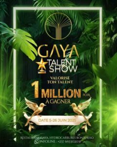 CULTURE : le Gaya Talent Show au service de l’art