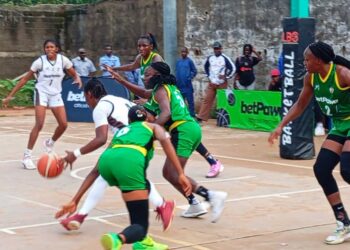 Coupe du Cameroun de Basketball : FAP, Friendship et MC Noah lancent les hostilités