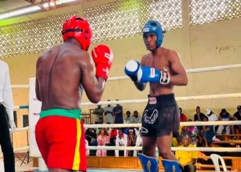 Championnats d'Afrique de Kickboxing 2025 : le Cameroun brille à domicile