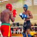 Championnats d'Afrique de Kickboxing 2025 : le Cameroun brille à domicile