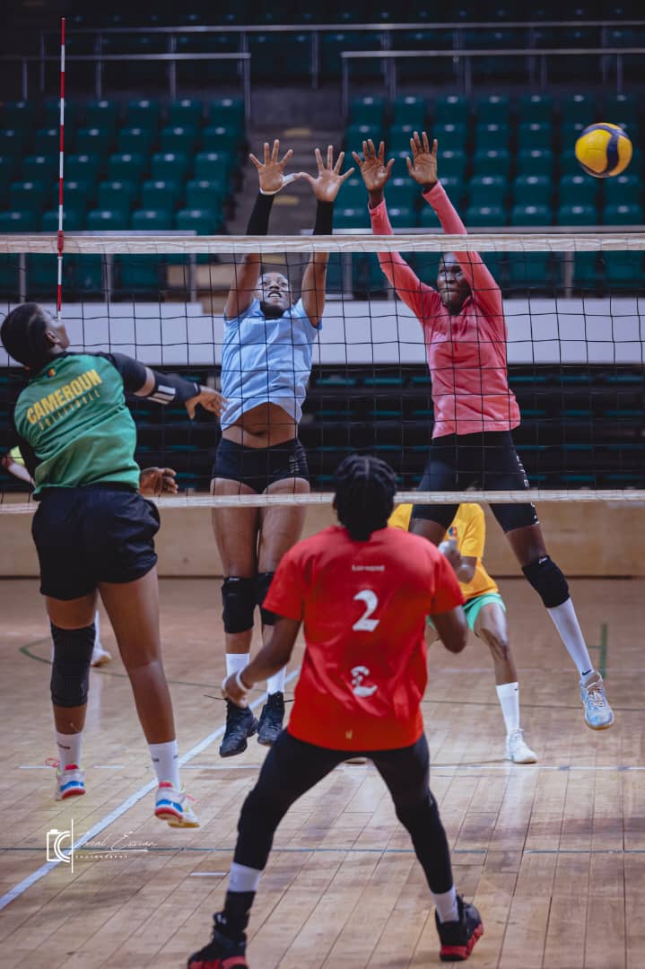 Chan seniors de volleyball zone 4: le Cameroun veut régner sur Brazzaville
