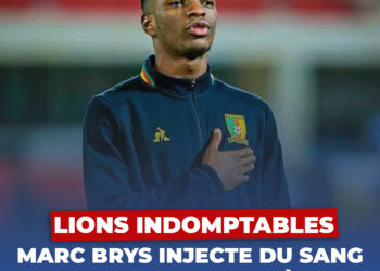 Lions Indomptables : Eyong , Ambina et Kotto le sang neuf de la tanière