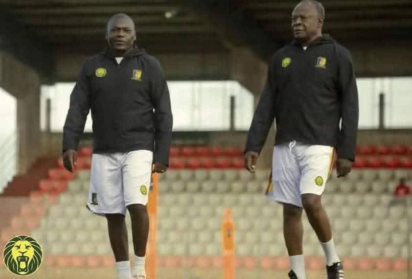 Lions Indomptables : quand les locaux prennent les commandes