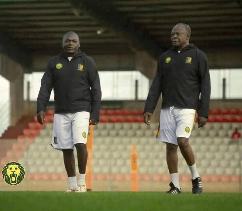 Lions Indomptables : quand les locaux prennent les commandes