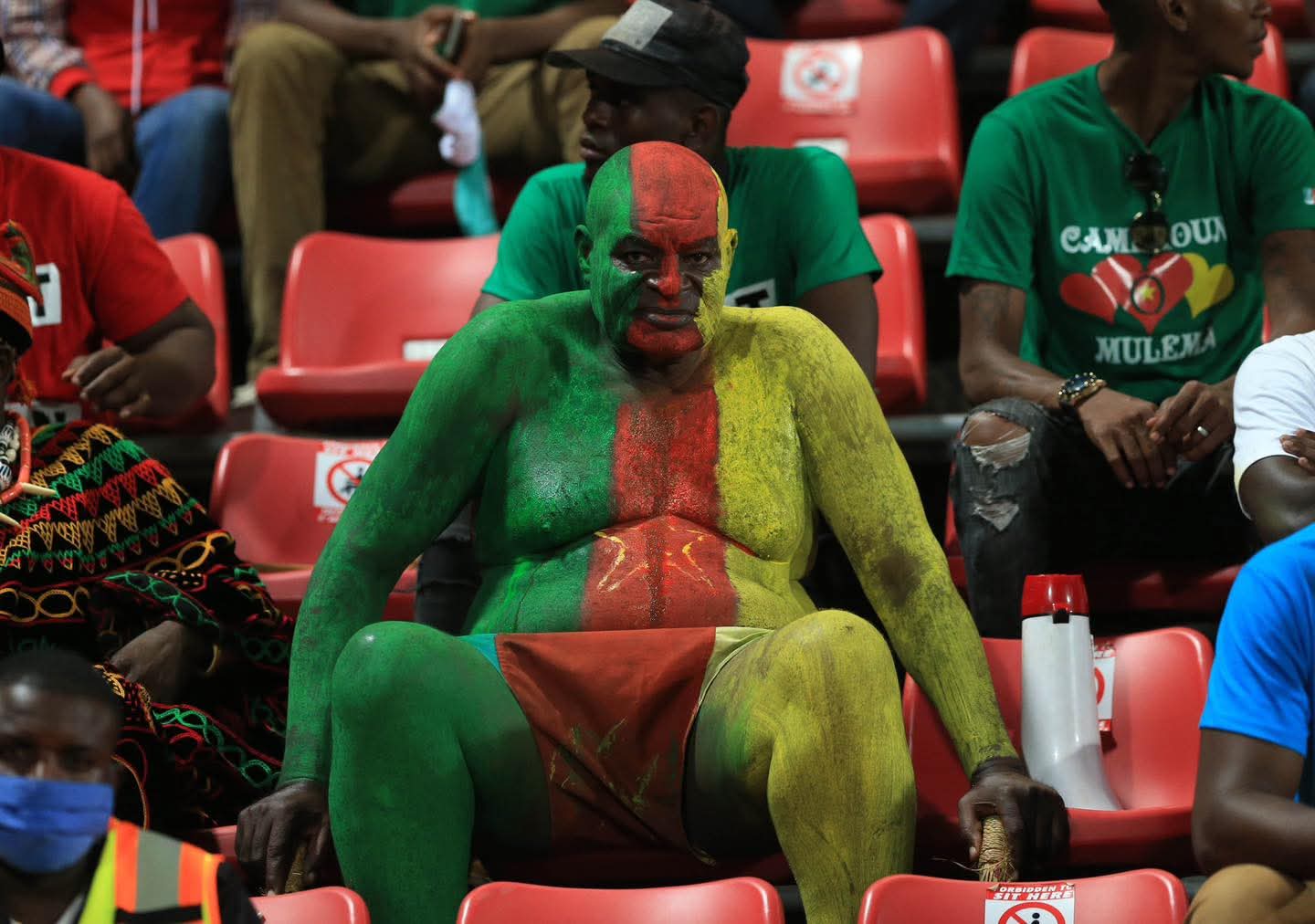 Ngando Pickett le 12ᵉ Lion : une vie peinte aux couleurs du Cameroun