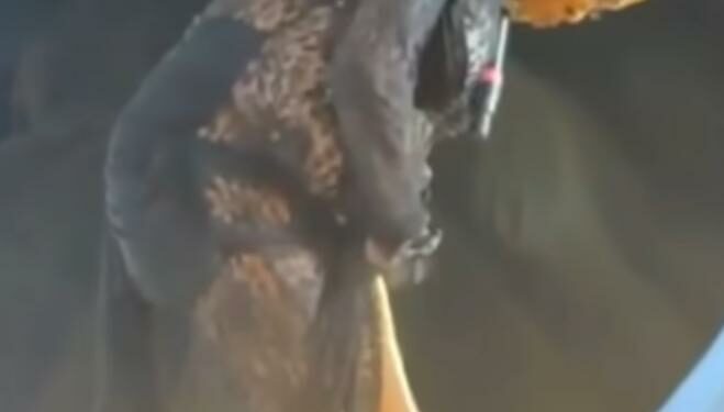 indécence : les réactions après la prestation de tchakala au Sonolive Fest