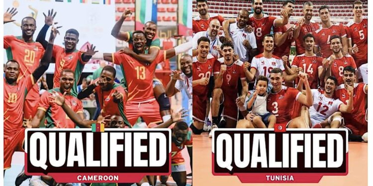 Chan Volleyball Messieurs 2026 : Tunisie-Cameroun duel de lions pour la couronne Africaine