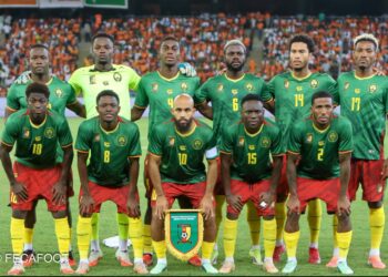 LIONS INDOMPTABLES: Bill NSONGO et les autres satisfactions de ce regroupement
