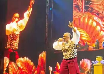 Musique :  Stanley Enow fait briller le drapeau camerounais au concert de Fally Ipupa
