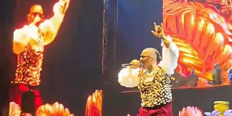 Musique :  Stanley Enow fait briller le drapeau camerounais au concert de Fally Ipupa