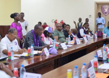 Colombe du Sud : un budget de près de 496 millions FCFA pour confirmer ses ambitions